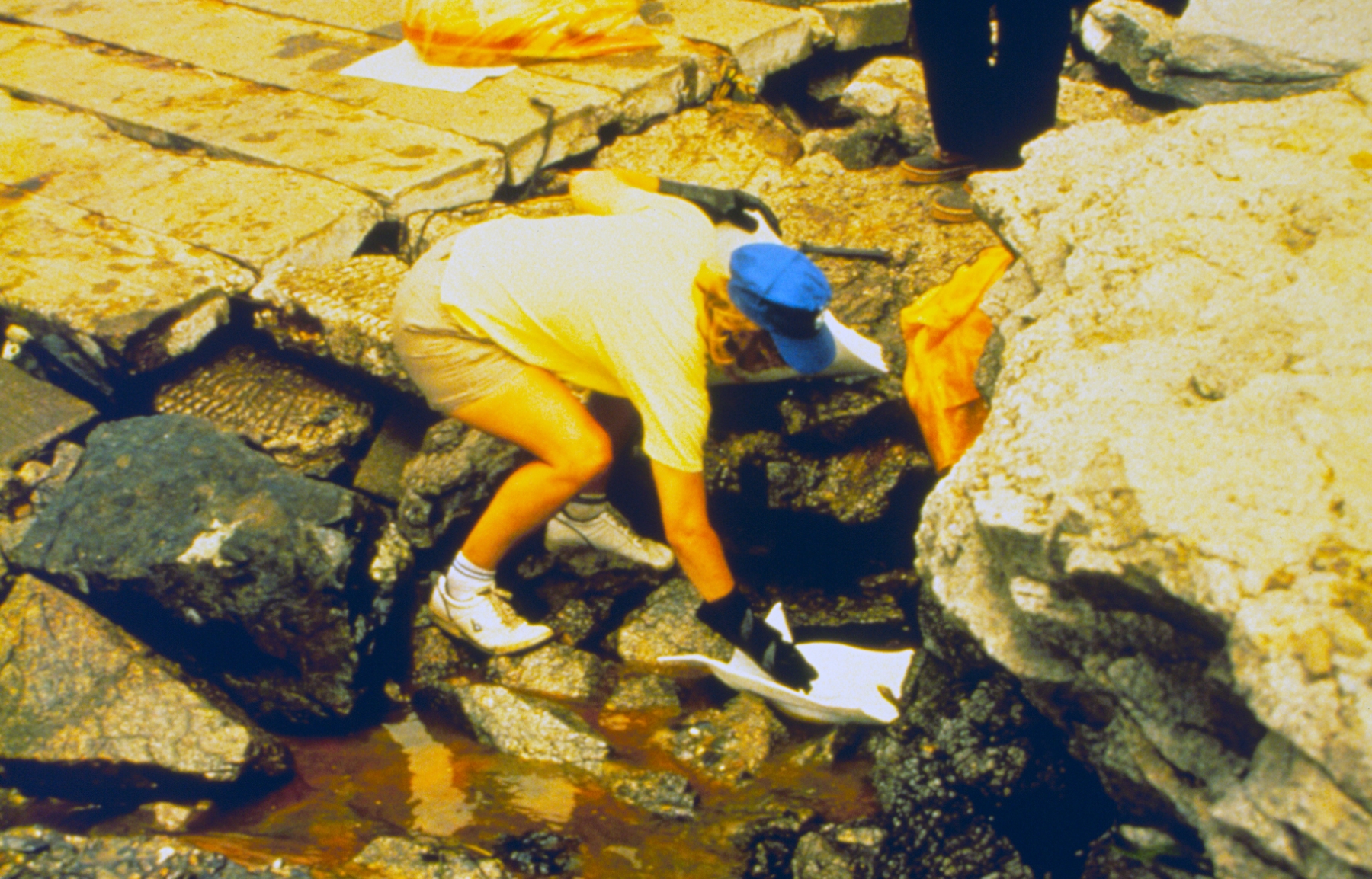 Remember The Narragansett Bay Oil Spill June 1989?