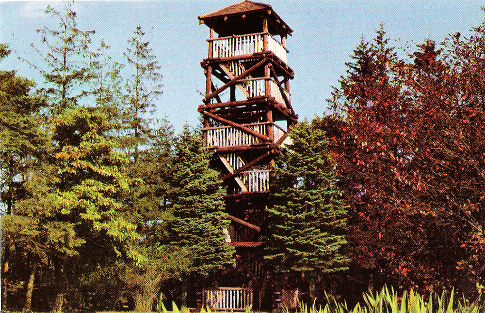 Hannah Robinson Tower